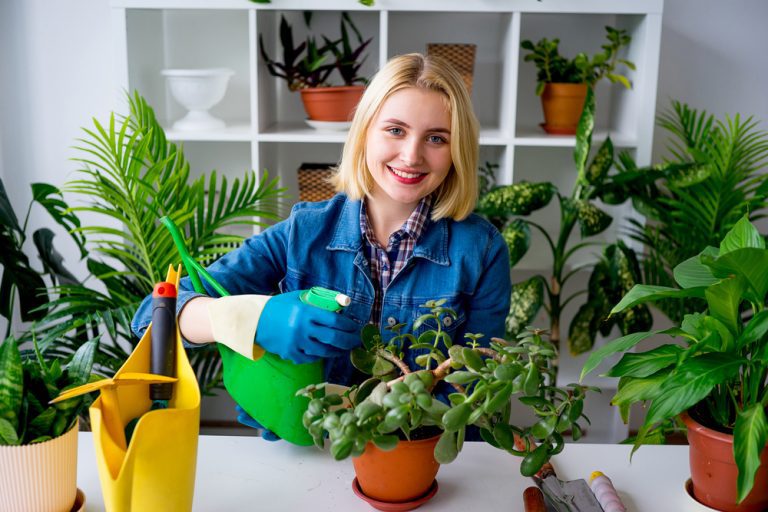 Enjoy the Benefits of Growing an Indoor Garden