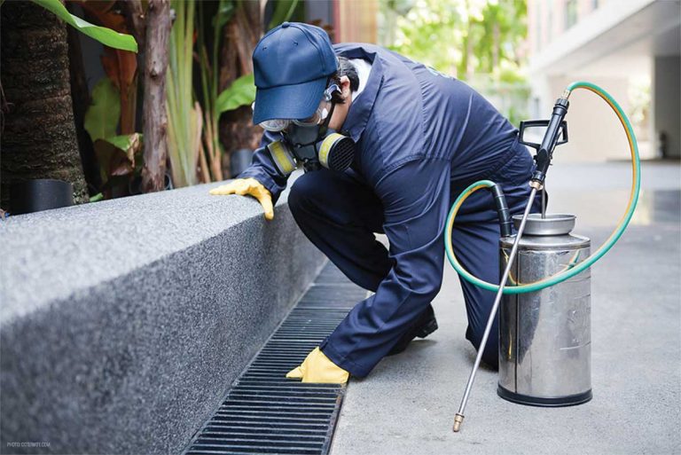 What Is Effective Pest Control?